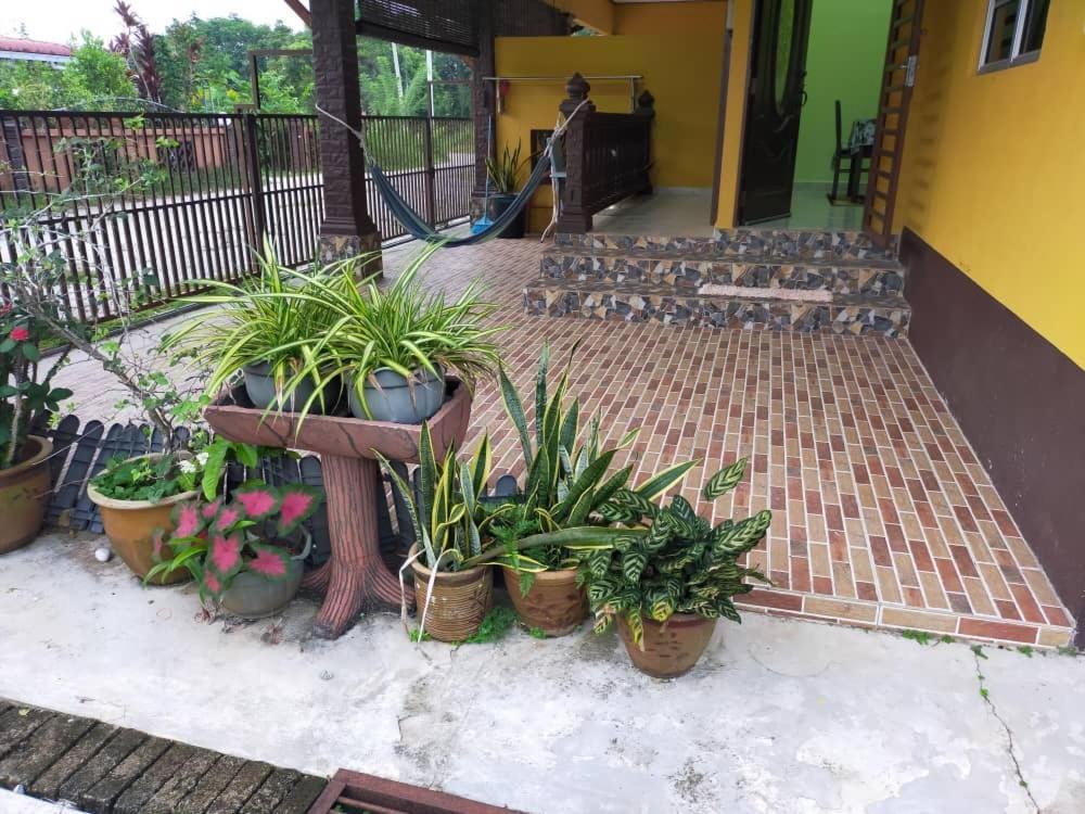 Rumah Tumpangan Di Kuala Terengganu, Terengganu Homestay D Eksteriør billede